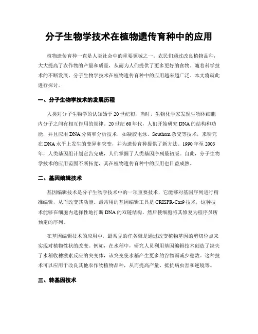 分子生物学技术在植物遗传育种中的应用