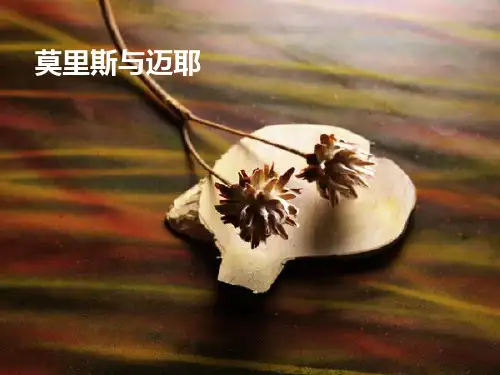 设计风格赏析