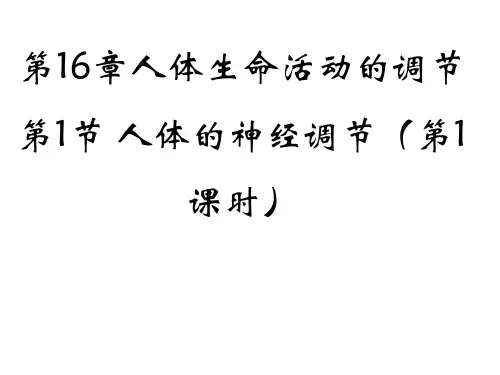 第一节人体的神经调节课件2021--2022学年苏科版生物八年级上册