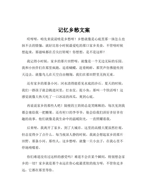 记忆乡愁文案