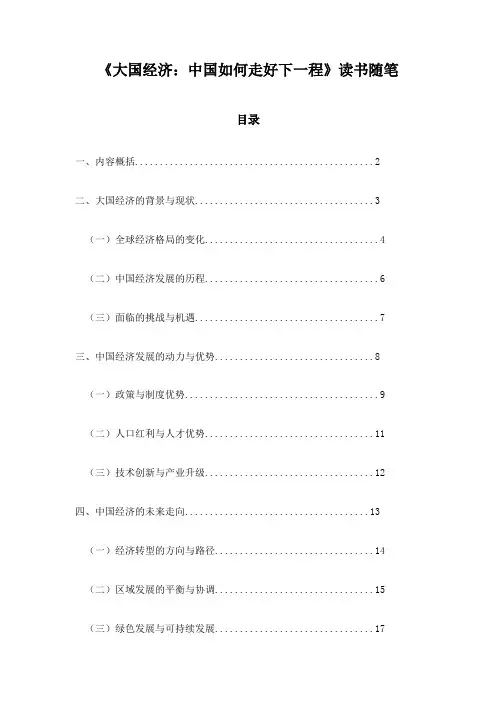 《大国经济：中国如何走好下一程》随笔