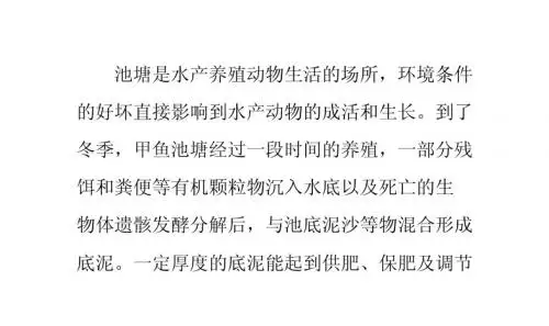 入冬前甲鱼池的改良方案