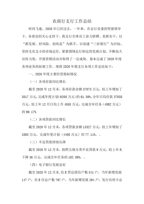 农商行支行工作总结