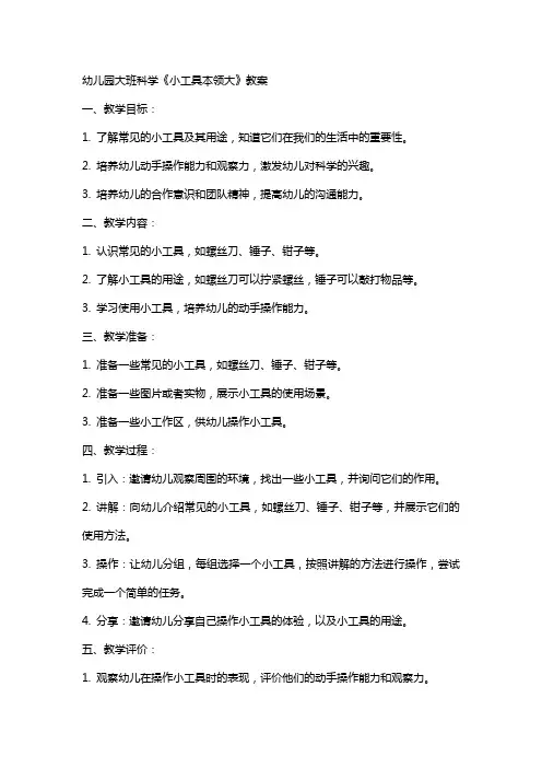 幼儿园大班科学《小工具本领大》教案