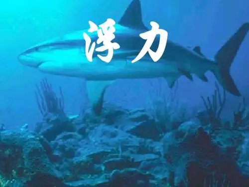 九年级物理浮力