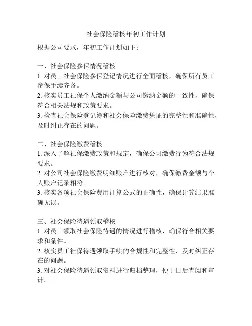 社会保险稽核年初工作计划