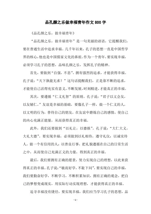 品孔颜之乐做幸福青年作文800字