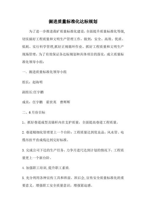 掘进质量标准化达标规划