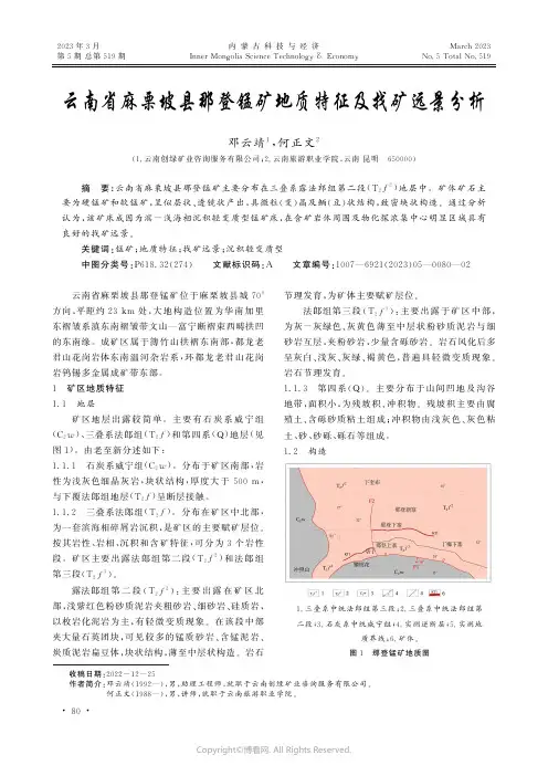 云南省麻栗坡县那登锰矿地质特征及找矿远景分析