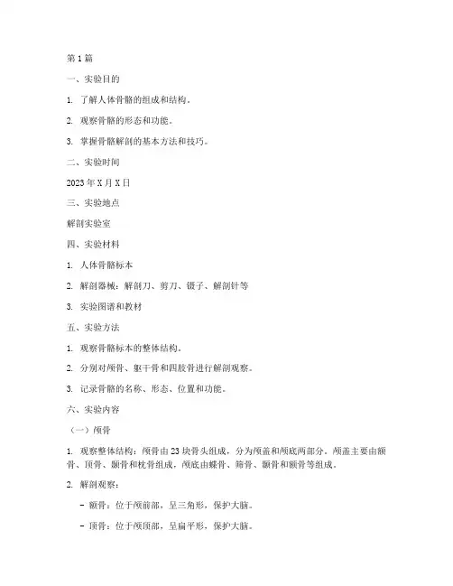 人体骨头解剖实验报告(3篇)