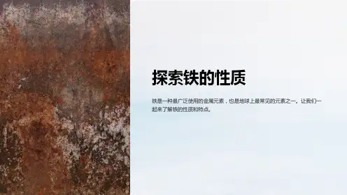 《铁的性质》课件