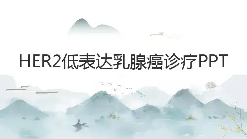 最新：HER2低表达乳腺癌诊疗PPT