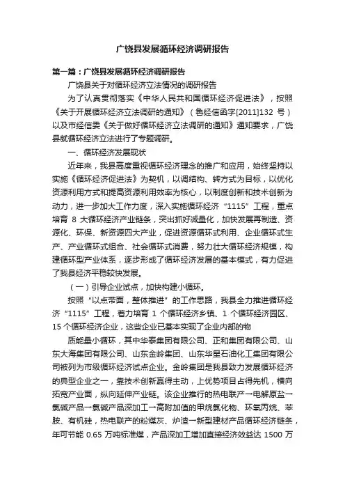 广饶县发展循环经济调研报告
