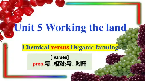 【课件】Unit+5Using+Language课件人教版选择性必修第一册