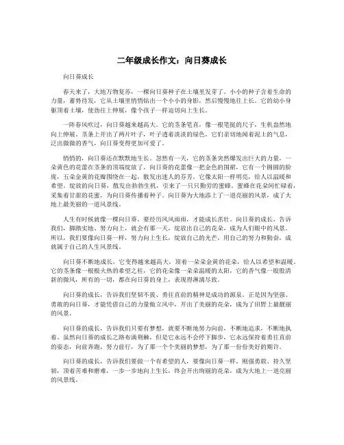 二年级成长作文：向日葵成长
