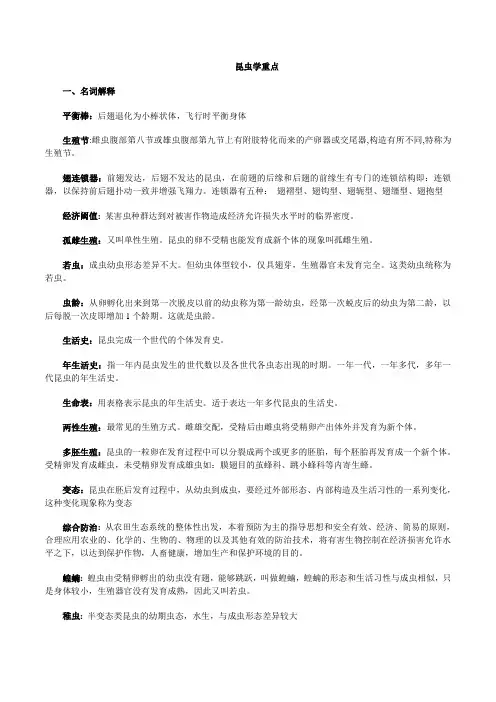 昆虫学重点