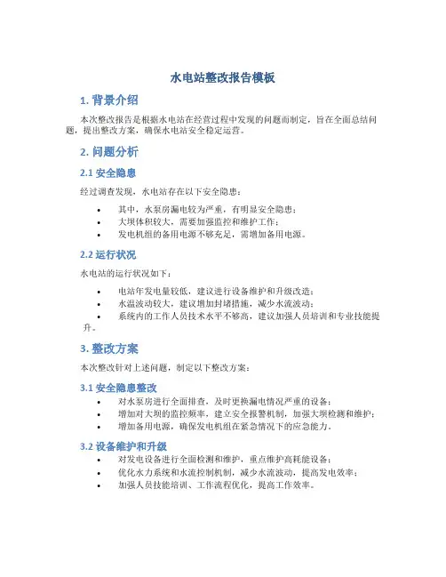 水电站整改报告模板