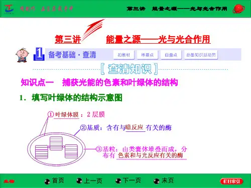 第三讲  能量之源——光与光合作用