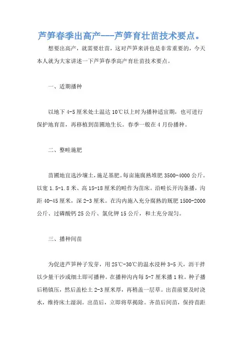 芦笋春季出高产---芦笋育壮苗技术要点。