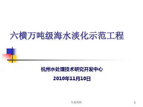 六横万吨级海水淡化示范工程[专家指导]