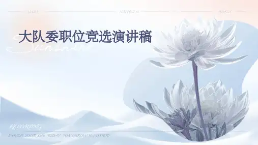 大队委职位竞选演讲稿PPT