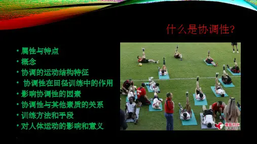 协调性PPT课件