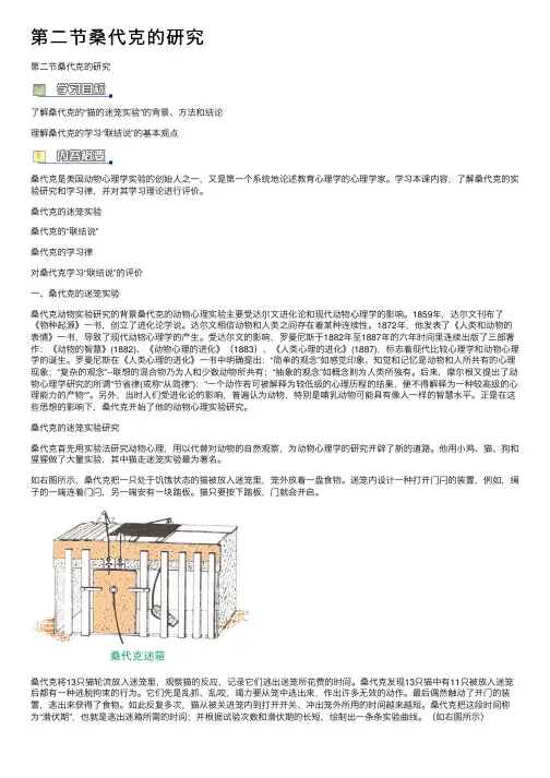 第二节桑代克的研究