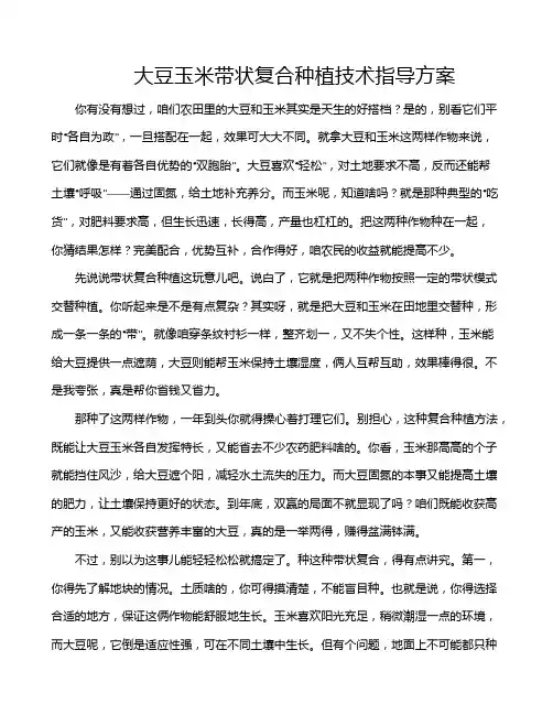 大豆玉米带状复合种植技术指导方案