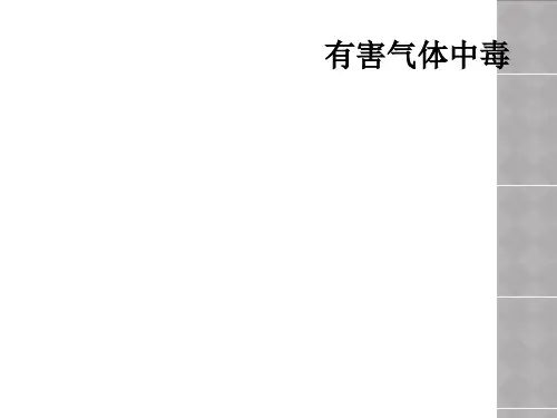 有害气体中毒