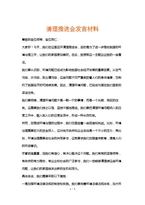 清理推进会发言材料