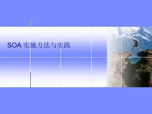 像外企专家一样写方案,SOA 方法与实践