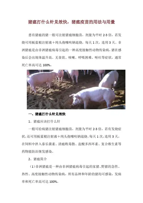 猪瘟打什么针见效快,猪瘟疫苗的用法与用量