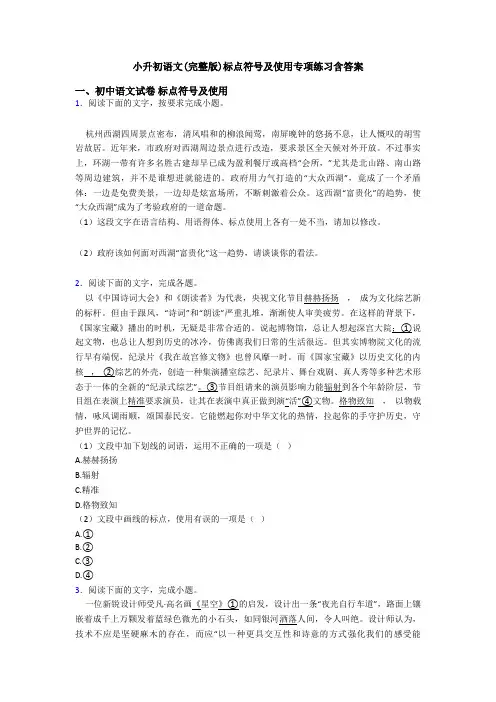 小升初语文(完整版)标点符号及使用专项练习含答案