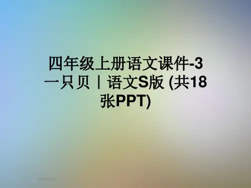 四年级上册语文课件-3一只贝｜语文S版 (共18张PPT)