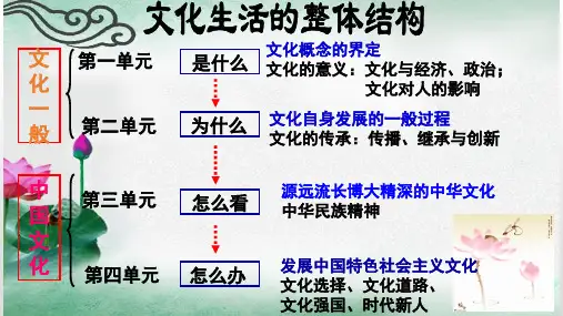 (精品)人教版高中政治必修三《体味文化》课件