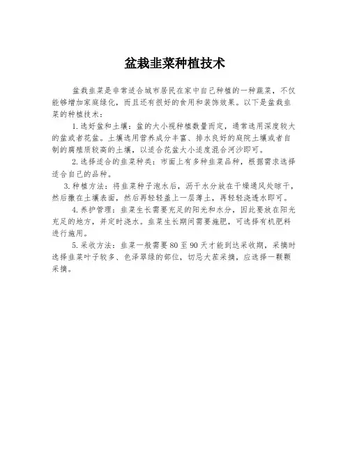 盆栽韭菜种植技术
