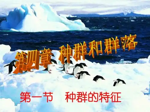 种群的特征_修订版