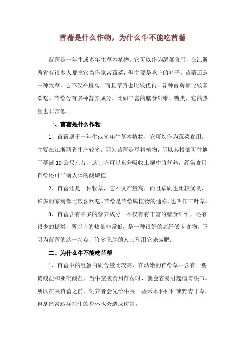 苜蓿是什么作物,为什么牛不能吃苜蓿