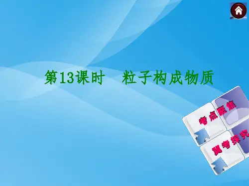 中考化学复习：粒子构成物质化学课件PPT