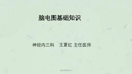 脑电图基础知识课件
