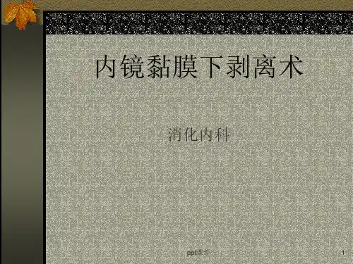 内镜粘膜下剥离术(ESD)  ppt课件