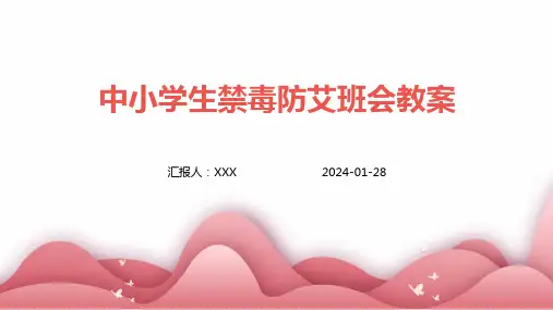 中小学生禁毒防艾班会教案