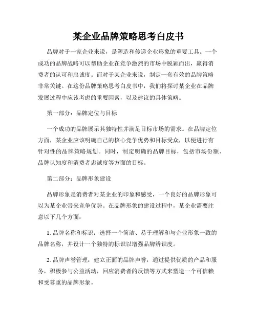 某企业品牌策略思考白皮书