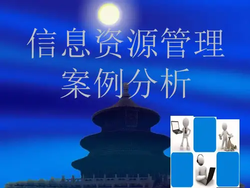 信息管理系统案例分析