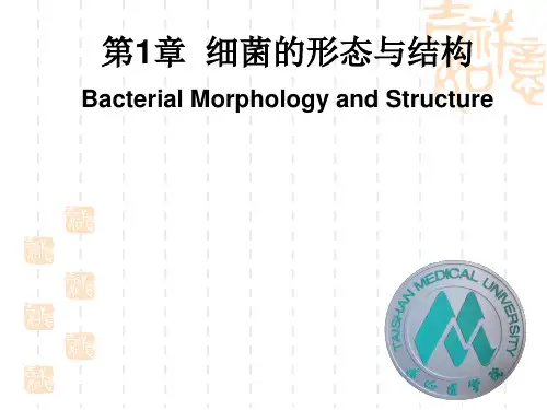 医学微生物学-细菌的特殊结构