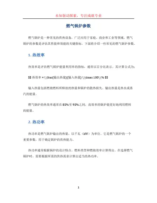 燃气锅炉参数 (2)
