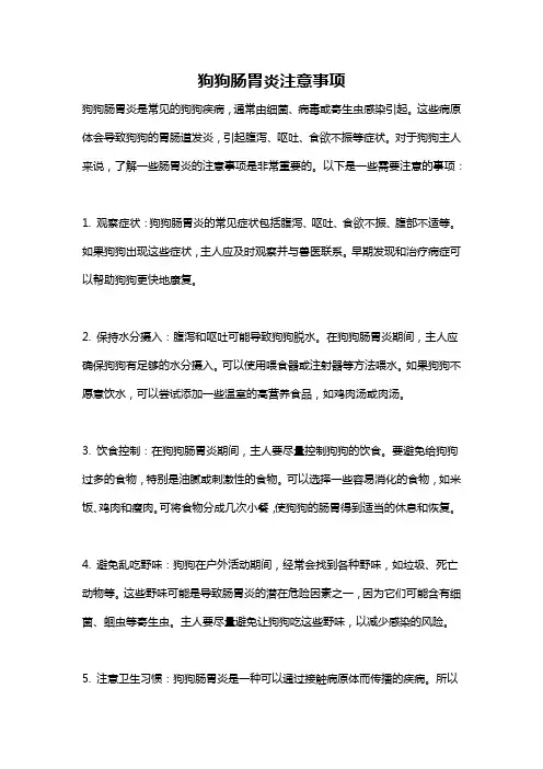 狗狗肠胃炎注意事项