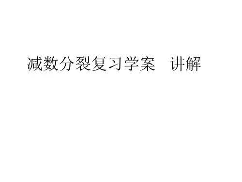 减数分裂复习学案