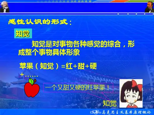 感性认识和理性认识的辩证关系