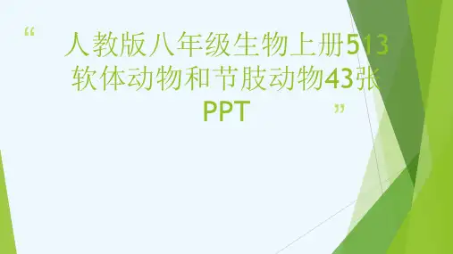 人教版八级生物上册513软体动物和节肢动物43张PPT[可修改版ppt]